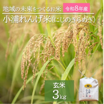 令和8年産(2026年産)新米!小浦れんげ米(にじのきらめき)【玄米】3kg
