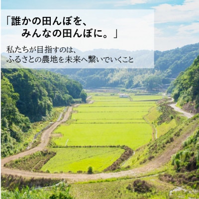 令和8年産(2026年産)新米!小浦れんげ米(にじのきらめき)【玄米】3kg