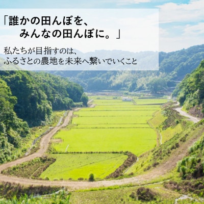 令和8年産(2026年産)　新米!小浦れんげ米(にじのきらめき)【玄米】 5kg