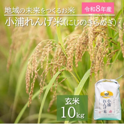 令和8年産(2026年産)新米!小浦れんげ米(にじのきらめき)【玄米】10kg