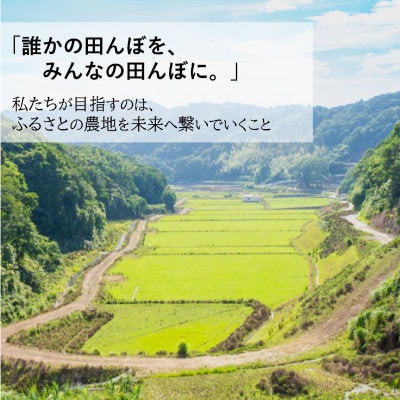 令和8年産(2026年産)新米!小浦れんげ米(にじのきらめき)【玄米】10kg