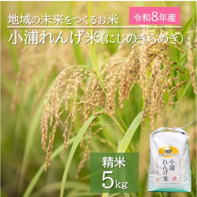 2026年産(令和8年産)新米!　小浦れんげ米(にじのきらめき)　精白米　5kg