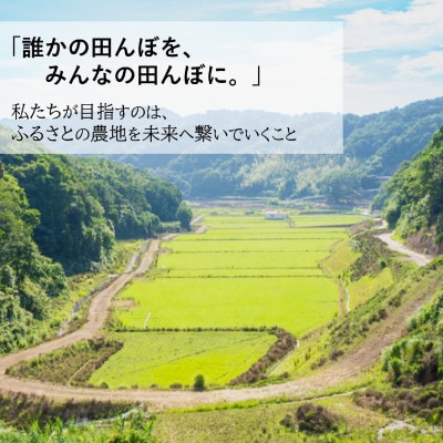 2026年産(令和8年産)新米!　小浦れんげ米(にじのきらめき)　精白米　5kg