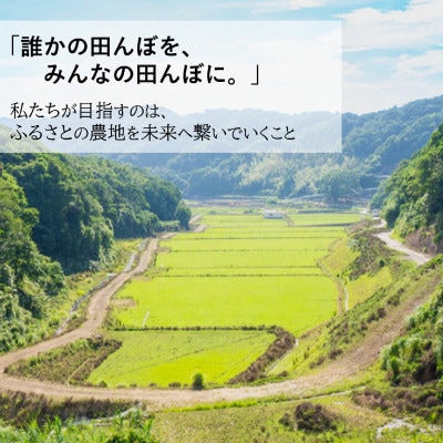2026年産(令和8年産)新米!小浦れんげ米(にじのきらめき)【精白米】 10kg