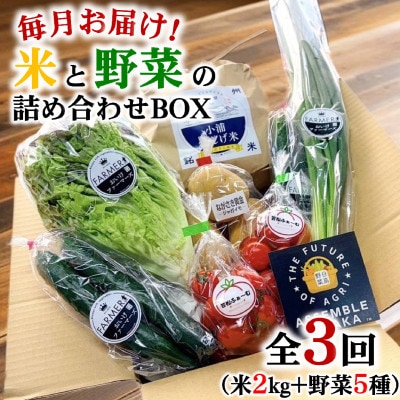 【毎月定期便】産地直送!米と野菜の詰め合わせ定期便【小浦れんげ米(精米)2kg+新鮮野菜5種】全3回