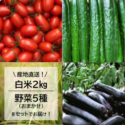 【毎月定期便】産地直送!米と野菜の詰め合わせ定期便【小浦れんげ米(精米)2kg+新鮮野菜5種】全3回