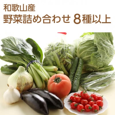 旬の新鮮野菜セット8種以上【野菜詰め合わせ】