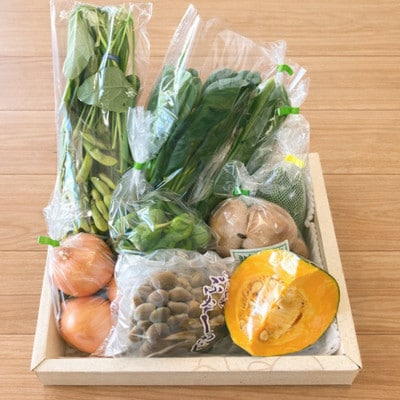 旬の新鮮野菜セット8種以上【野菜詰め合わせ】