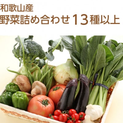 旬の新鮮野菜セット13種以上