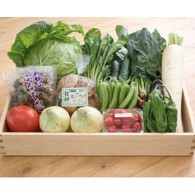 旬の新鮮野菜セット13種以上