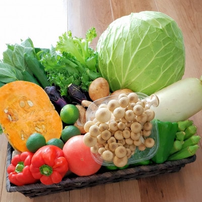旬の新鮮野菜セット13種以上