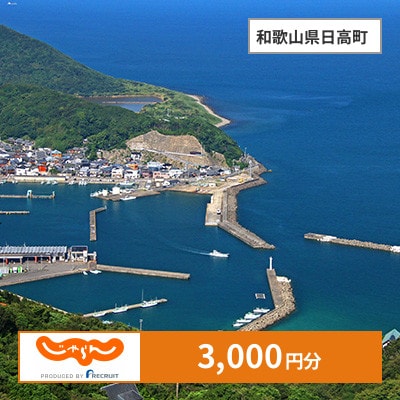 【じゃらんふるさと納税クーポン】 和歌山県日高町でつかえる3,000円 クーポン