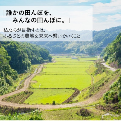 【令和8年産 新米】小浦れんげ米(にじのきらめき) 無洗米 10kg