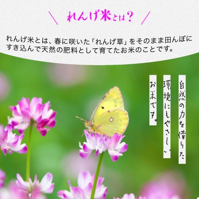 【令和8年産 新米】小浦れんげ米(にじのきらめき) 無洗米 2kg