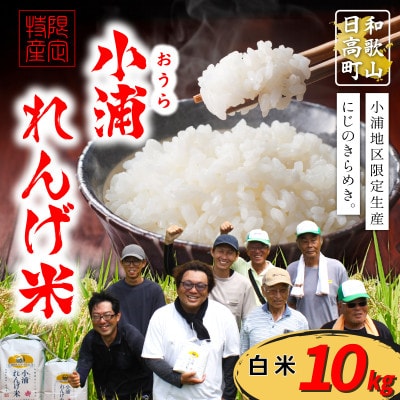【令和8年産 新米】小浦れんげ米(にじのきらめき) 精米(白米) 10kg