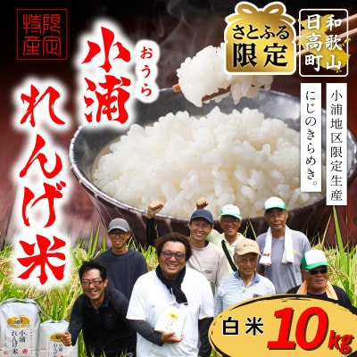 【さとふる限定】【令和8年産 新米】小浦れんげ米(にじのきらめき) 精米(白米) 10kg