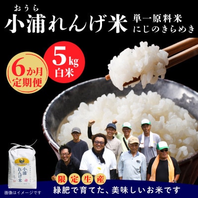 【毎月定期便】小浦れんげ米(にじのきらめき) 精米(白米)5kg全6回