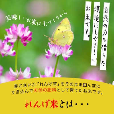 【毎月定期便】小浦れんげ米(にじのきらめき) 精米(白米)10kg全3回