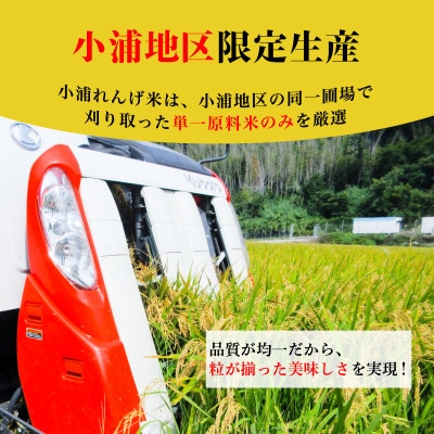 【毎月定期便】小浦れんげ米(にじのきらめき) 精米(白米)10kg全3回