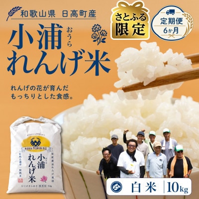 【毎月定期便】【さとふる限定】小浦れんげ米(にじのきらめき) 精米(白米)10kg全6回