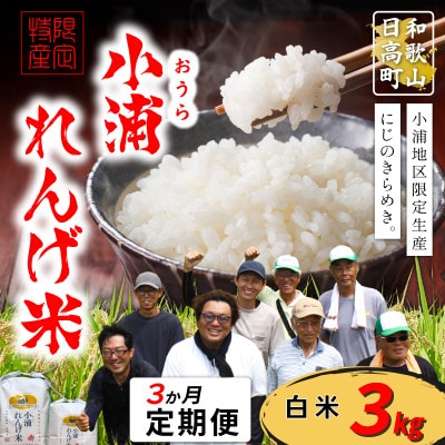 【毎月定期便】小浦れんげ米(にじのきらめき) 精米(白米)3kg全3回