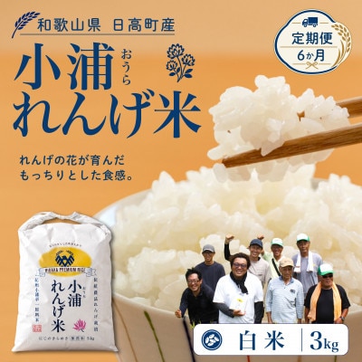 【毎月定期便】小浦れんげ米(にじのきらめき) 精米(白米)3kg　全6回