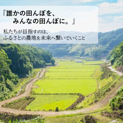 【毎月定期便】小浦れんげ米(にじのきらめき) 玄米 10kg全3回