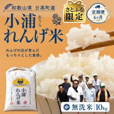 【毎月定期便】【さとふる限定】小浦れんげ米(にじのきらめき) 無洗米 10kg全6回