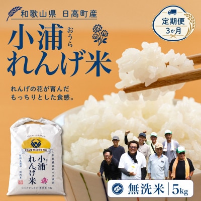 【毎月定期便】小浦れんげ米(にじのきらめき) 無洗米 5kg全3回