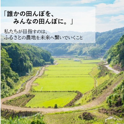 【毎月定期便】小浦れんげ米(にじのきらめき) 無洗米 5kg全3回