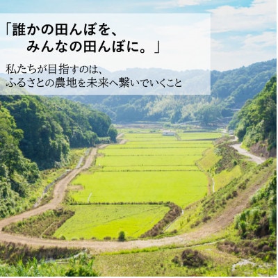 【毎月定期便】小浦れんげ米(にじのきらめき) 無洗米 3kg全3回