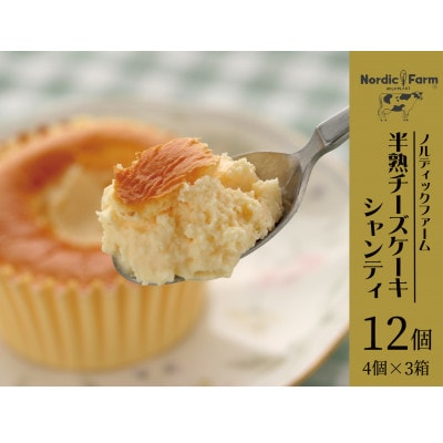 濃厚トロリとろける　半熟チーズケーキ・シャンティ〔4個入り×3箱〕