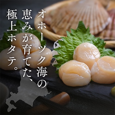 オホーツク海産ホタテ貝柱1kg