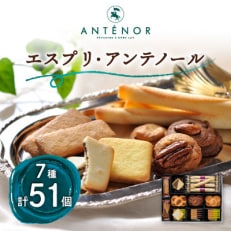 アンテノール　エスプリ・アンテノール(51個入) | ふるさと納税のお礼品