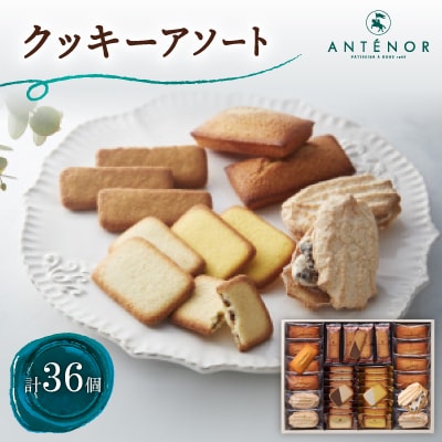 アンテノール　クッキーアソート　36個入
