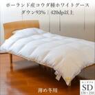 ポーランド産コウダ種ホワイトグース ダウン93% 薄め冬用羽毛ふとん セミダブルサイズ
