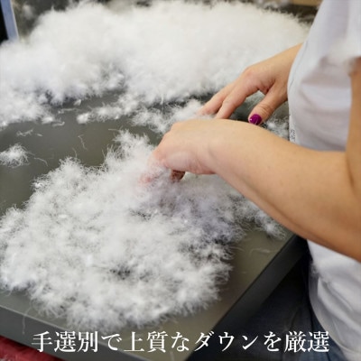逸品 ポーランド産「スーペリア」コウダ種マザーグース ダウン98% 冬用 羽毛布団 セミダブルサイズ