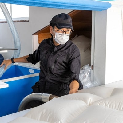 逸品 ポーランド産「スーペリア」コウダ種マザーグース ダウン98% 冬用 羽毛布団 セミダブルサイズ