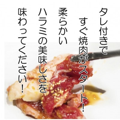 お肉屋さんオリジナル自家製ハラミダレ800g