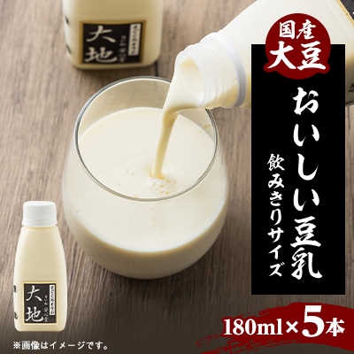 【こんな豆乳飲んだことない!】濃くて甘～いおいしい豆乳飲みきりサイズ 180ml - 5本セット