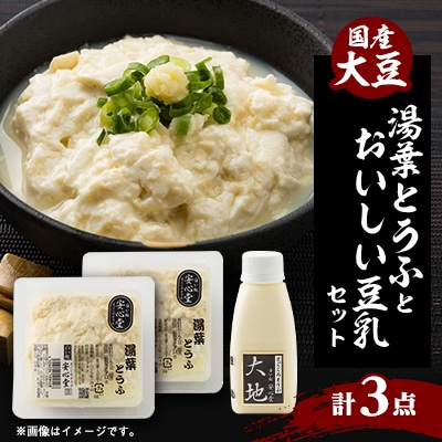 【豆腐職人おすすめ】湯葉とうふ 2パック・おいしい豆乳 180ml×1本セット