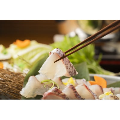 山崎真鯛しゃぶしゃぶ約2～3人前　〆の蓮根麺つき