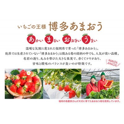 【父の日限定】博多あまおう たっぷり苺のアイス　F-AH-TP5W