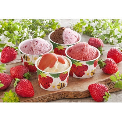 【毎月定期便】トッピングアイス、チョコアイス、ブランドアイス、いちごアイス　おすすめ4品全4回