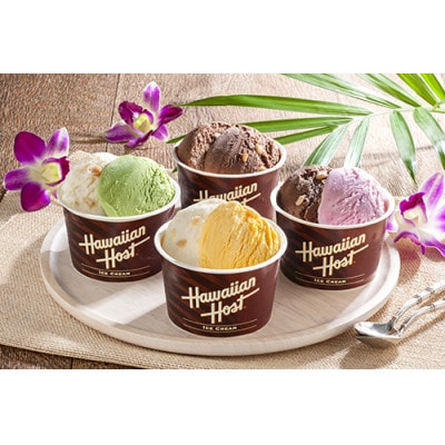 【毎月定期便】トッピングアイス、チョコアイス、ブランドアイス、いちごアイス　おすすめ4品全4回