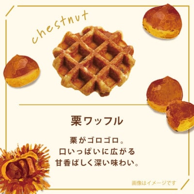 【冷凍便】マネケン ベルギーワッフル 14個入ギフトセット秋限定 (TFRB-PChK14G)