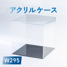 アクリルケース W295