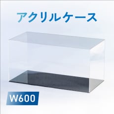 アクリルケース W600