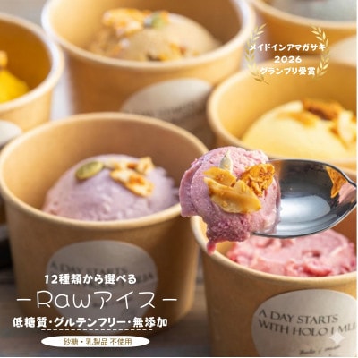 ヴィーガン対応 ローアイス 12種食べ比べセット(卵乳小麦砂糖不使用)