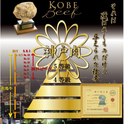 神戸牛 訳あり 小分け 切り落とし肉&焼肉用(部位おまかせ) 計400g AGSP1